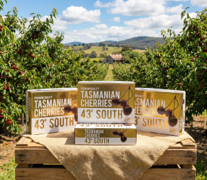 43-1 澳洲43度櫻桃